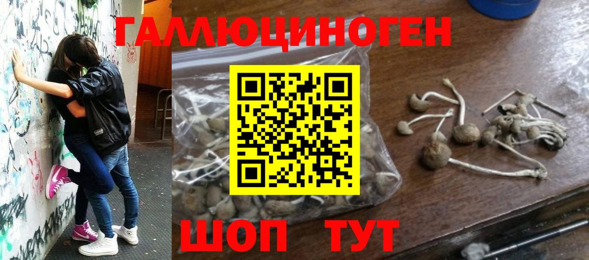 Псилоцибиновые грибы мухоморы  Вход с VPN  Новочеркасск 